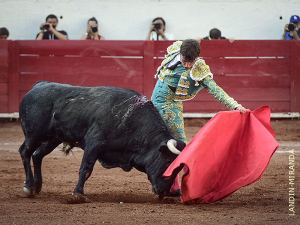 Serie limpia y de trazo largo