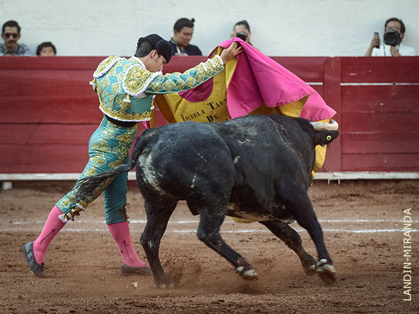 Jaleado en los quites
