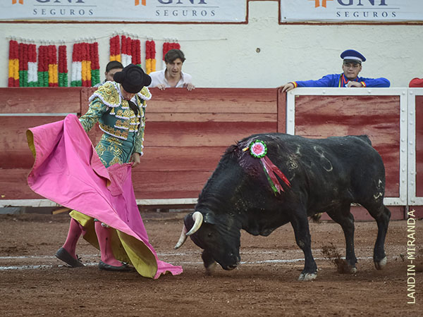 Mecidos lances sobre las rayas