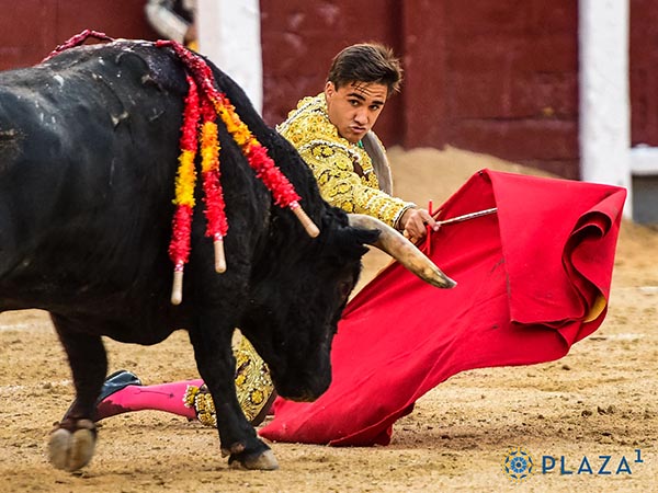 Tirando del c�rdeno