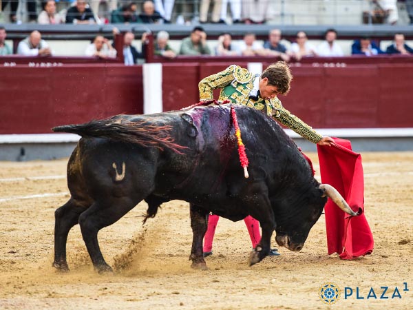 Alargando el trazo