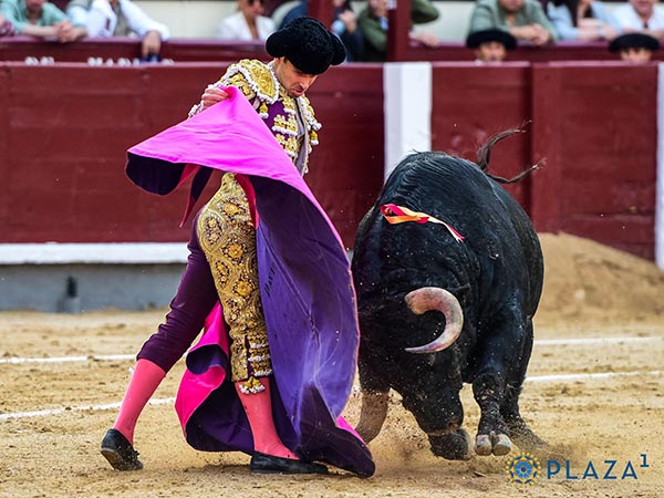 Jaleado en las ver�nicas