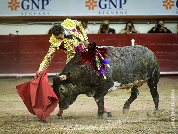 �Olee�! m�s emocionado al comp�s del toreo