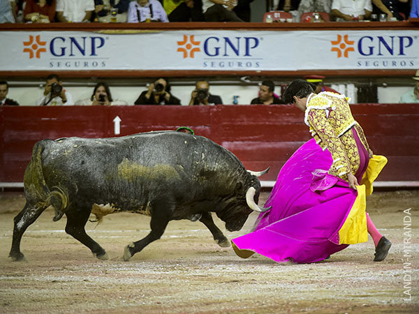Breg� con temple exquisito de capote