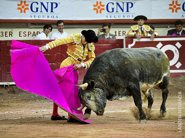 Tocadas del pellizco de torero diferente