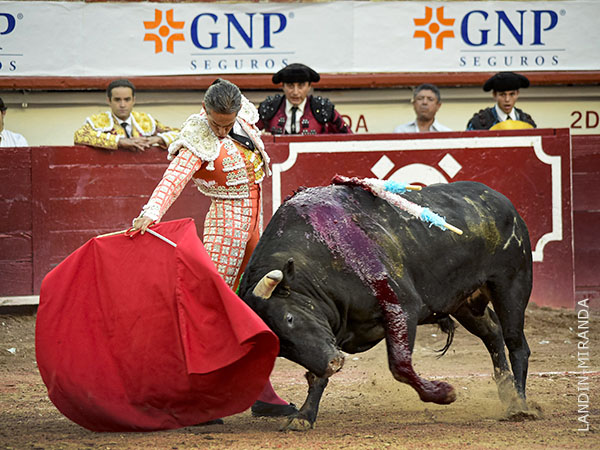 Serenidad en sus andares