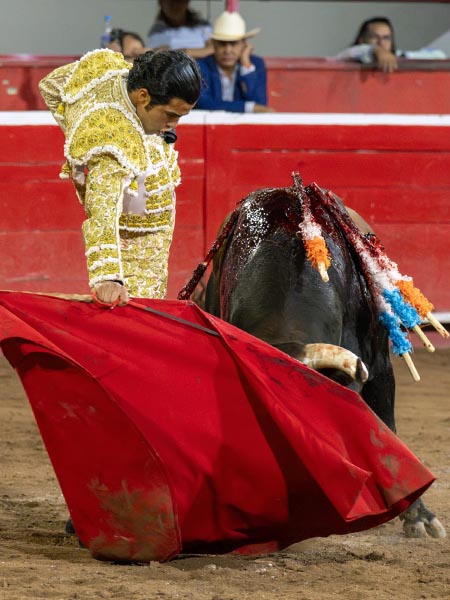FIrme ante el negro