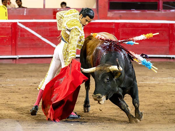 Larqueza queretana