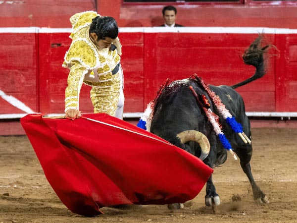 Tirando del ejemplar