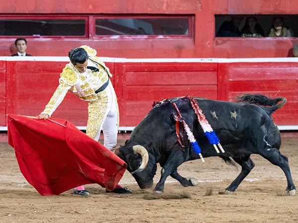 Pit�n derecho