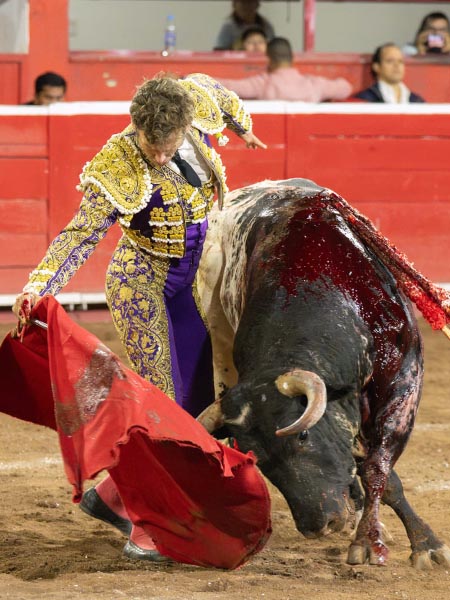 Entonado