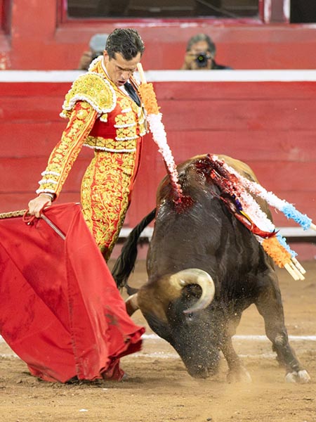 Banderilla vertical