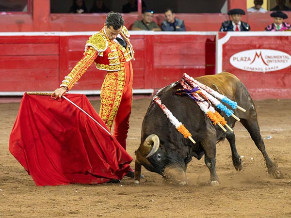 Los belfos en la arena