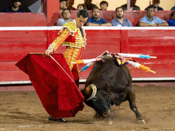 Codicia del colorado