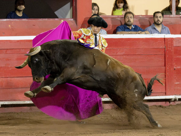 Manos por delante