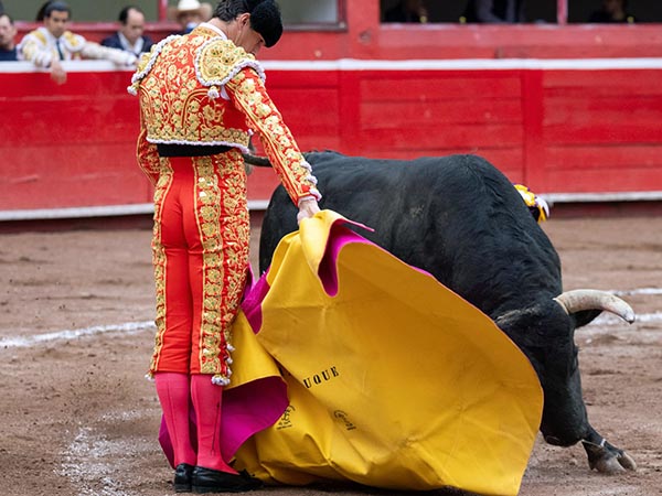Daniel Luque, primer espada