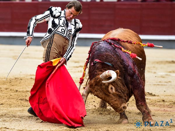 Javier Cort&eacute;s pierde triunfo con la espada