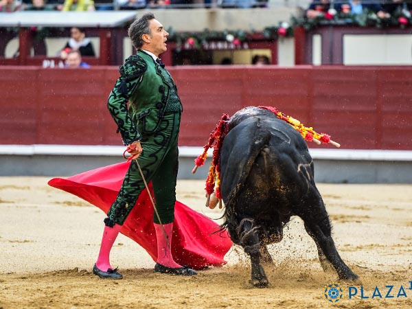 La mirada en el tendido