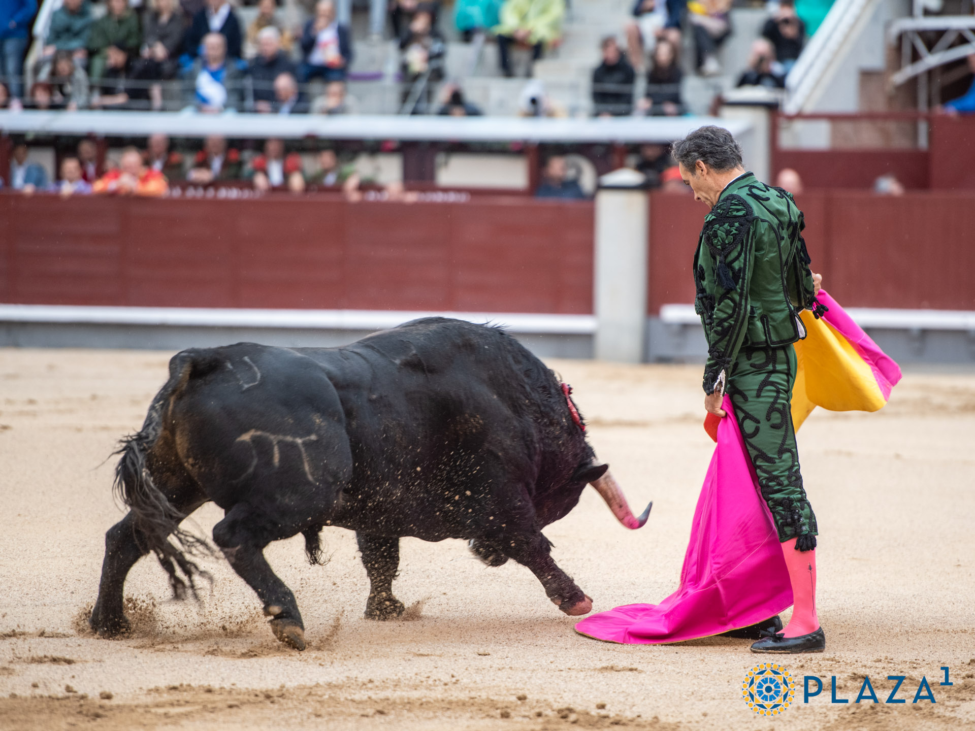 Las ver�nicas de El Cid