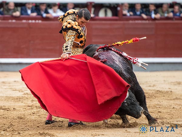 Redondos de Uceda Leal