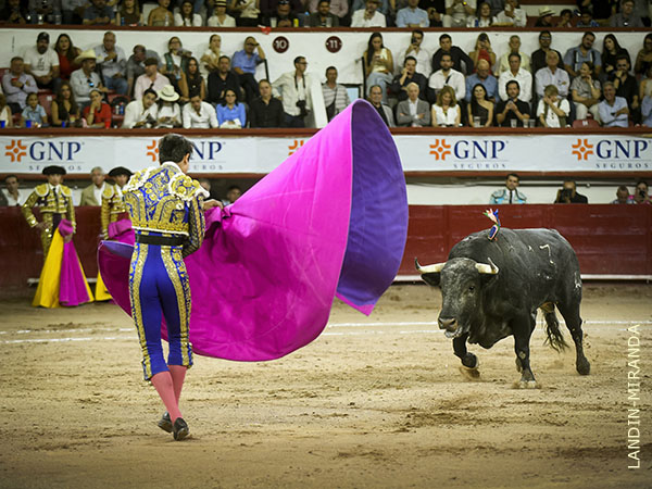 EL quite por zapopinas