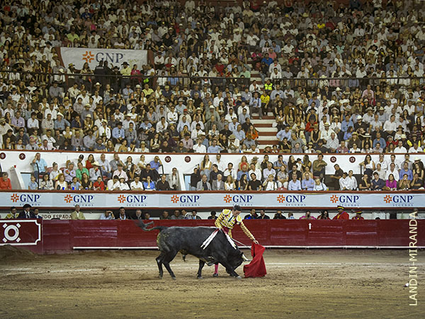 M�s de 14 mil asistentes