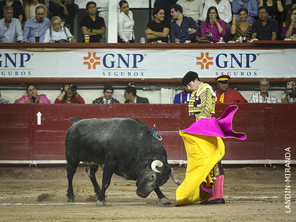 Su segundo, un ejemplar con nobleza