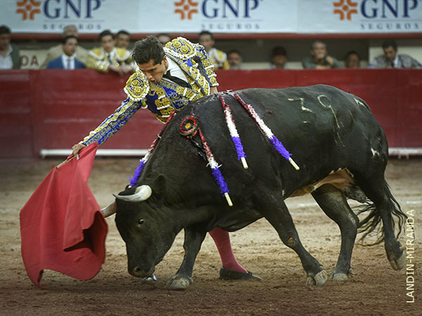Un toro encastado, nada f�cil