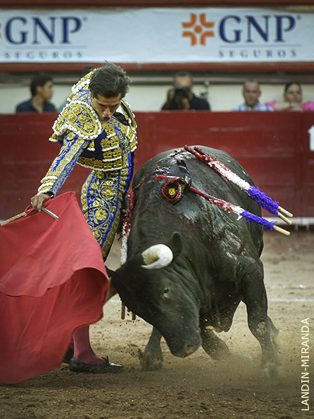 El fondo representativo de Los Encinos
