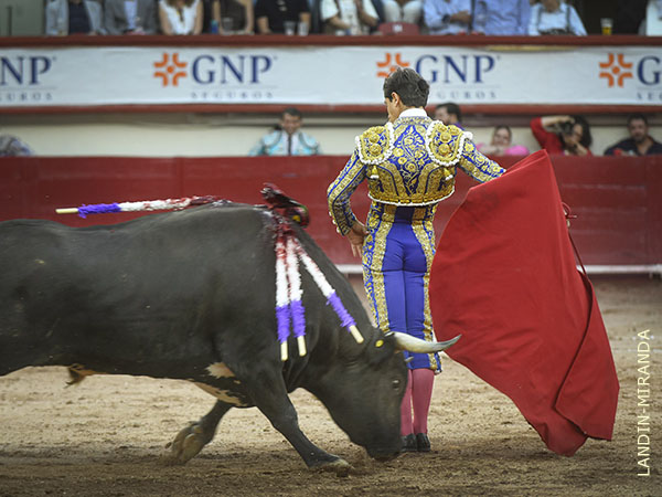 Valiente y vertical en el inicio