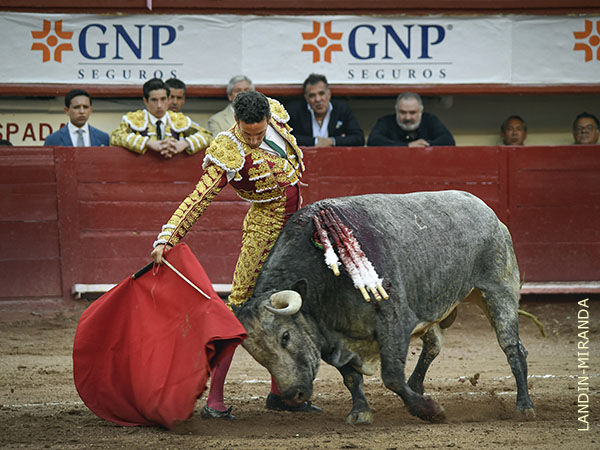 Faena aseada y concisa