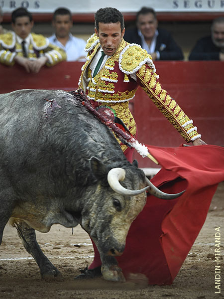El fenotipo de la casa ganadera