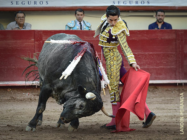 Solvencia