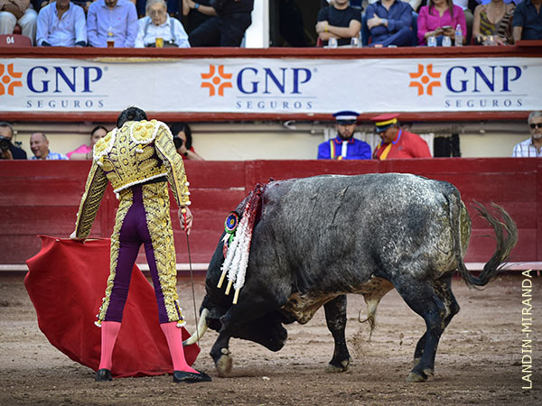La izquierda, el sello de la casa