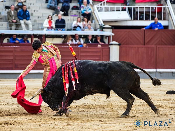 El dercho del negro
