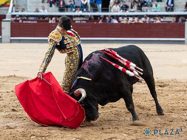 Ce�idos muletazos