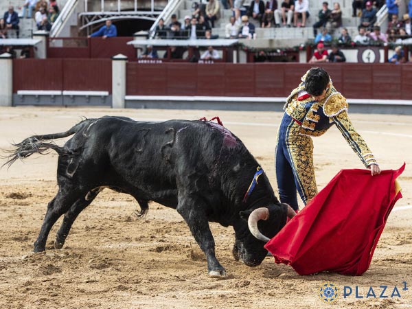 Por el lado zurdo