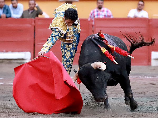 Apuntando el toreo bueno