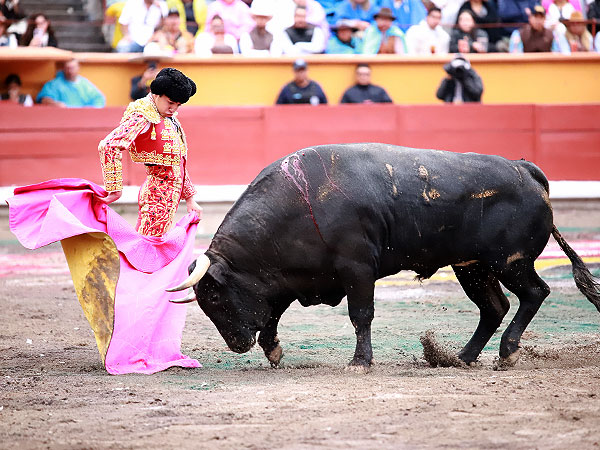 Marco P�rez