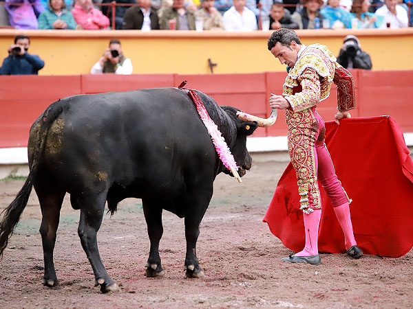 Solvencia y valor