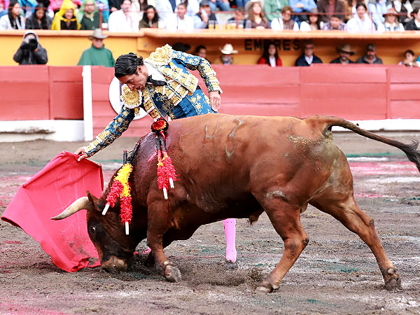 Sergio Flores