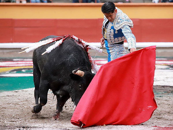 Esforzado y torero