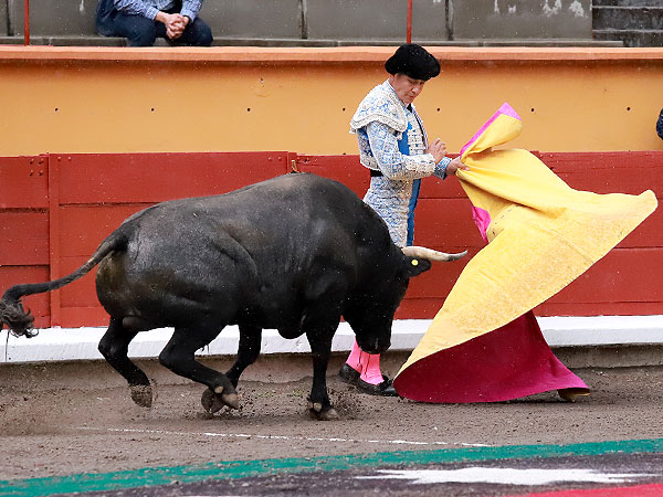 Uriel Moreno 