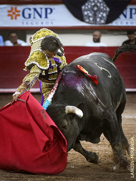 La exigencia del torero hab�a sido total