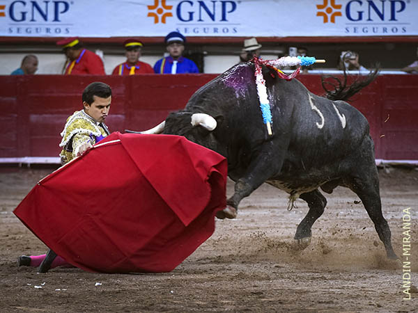 Muletazos del comienzo, de rodillas