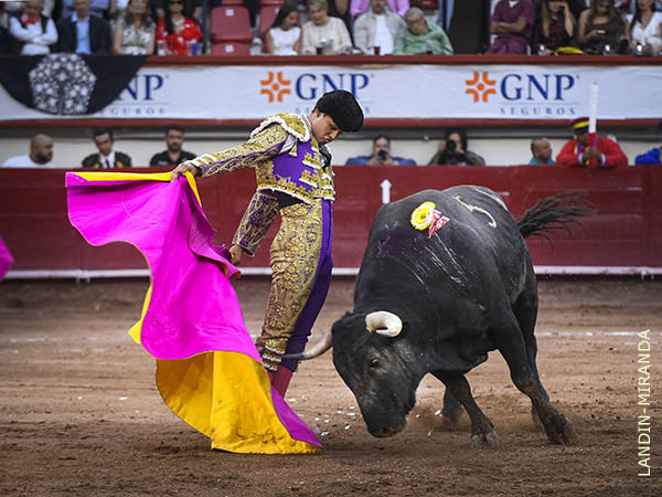 Espectacular quite por gaoneras