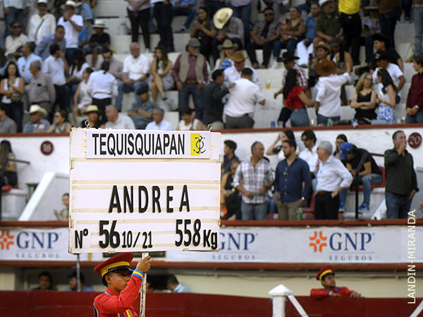 Homenaje a un gran taurino