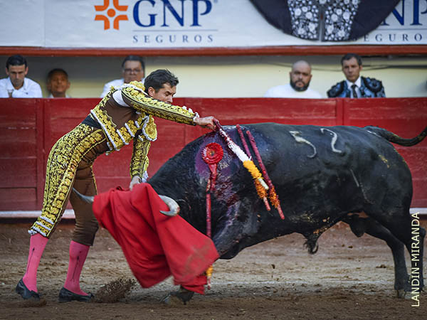 Estocada entera, de buena ejecuci�n