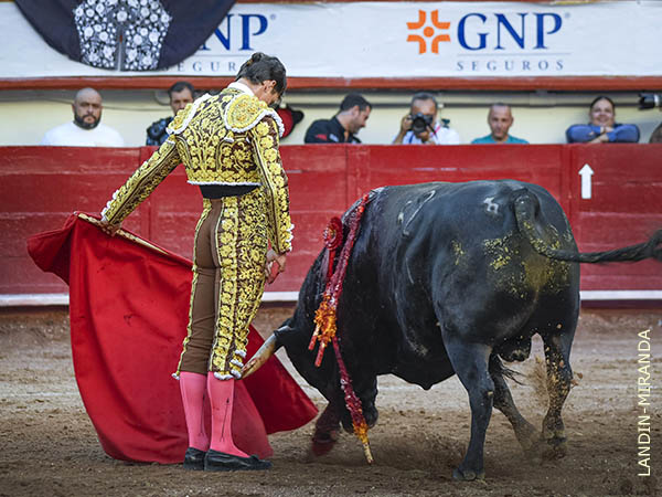 Tocado de la gracia andaluza