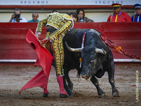 Las luquecinas de Daniel